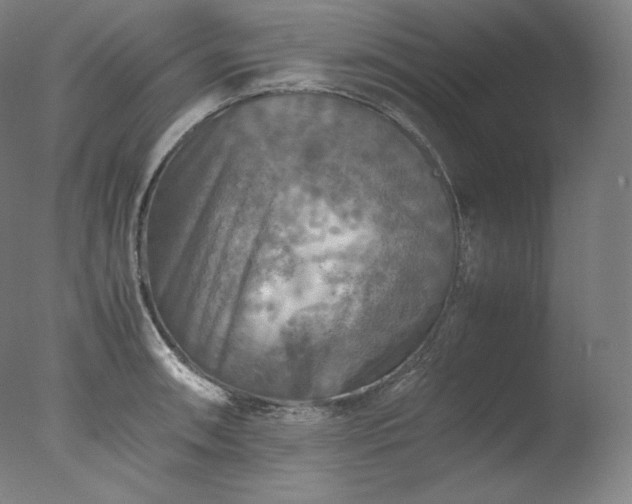 X0000077291090200610271518