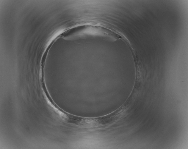 X0000077291095200610271518