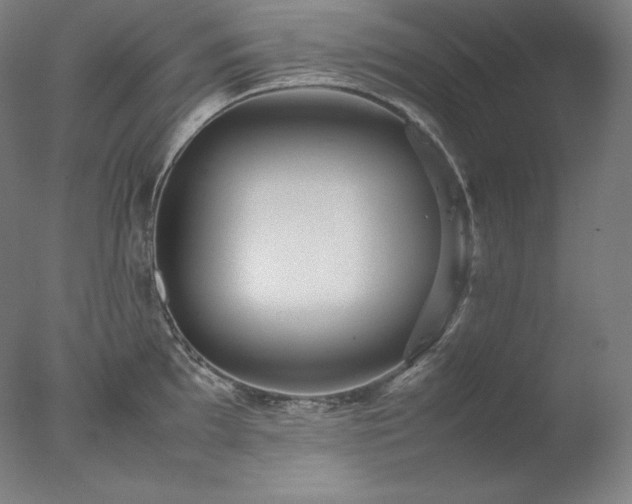 X0000077291097200610271518