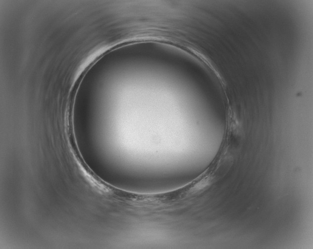 X0000077291101200610271518