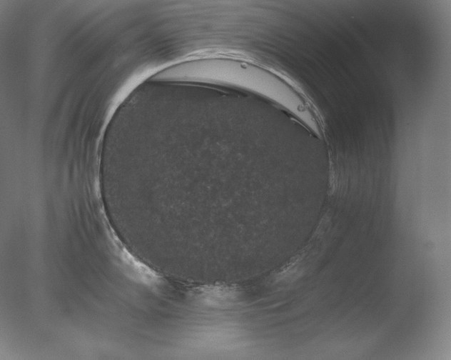 X0000077291102200610271518