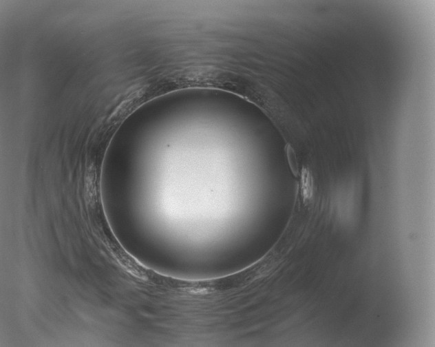 X0000077291107200610271517