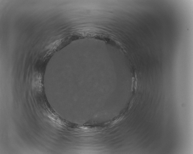 X0000077291108200610271517