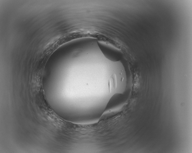 X0000077291110200610271517