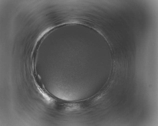 X0000077291127200610271517