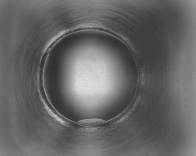 X0000077291134200610271517