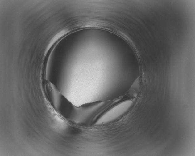 X0000077291138200610271517
