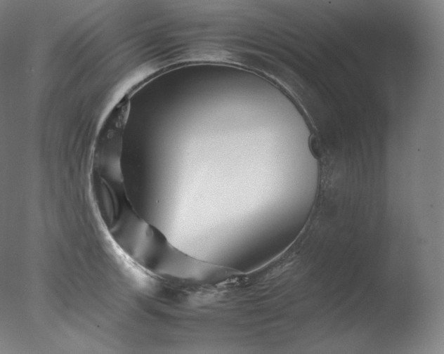 X0000077291139200610271517