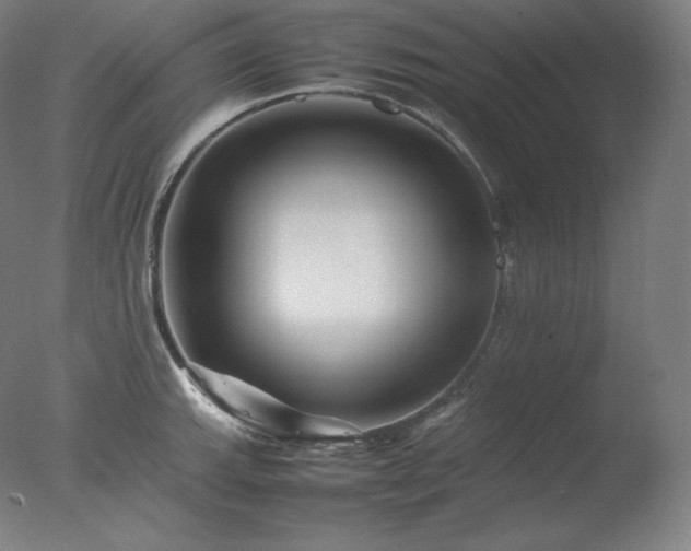 X0000077291143200610271518