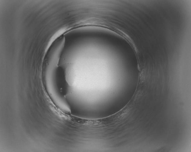 X0000077291146200610271518