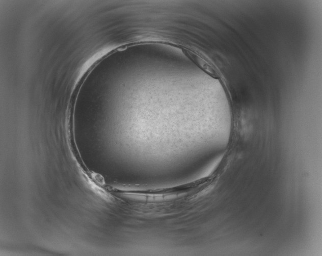 X0000077291149200610271518