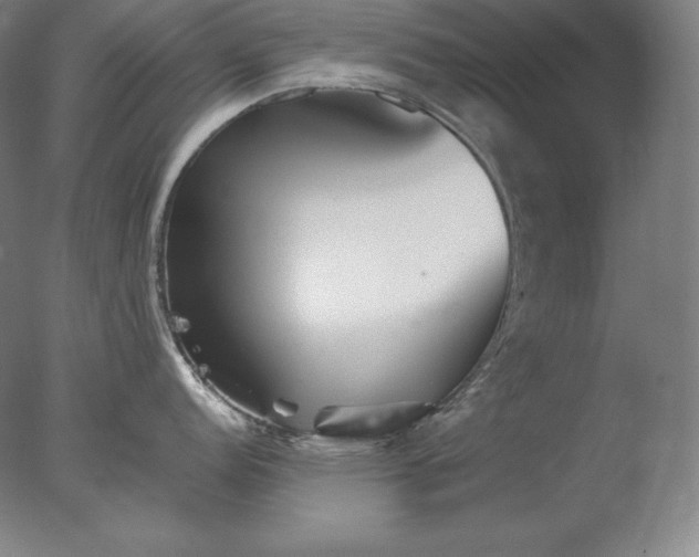 X0000077291152200610271518