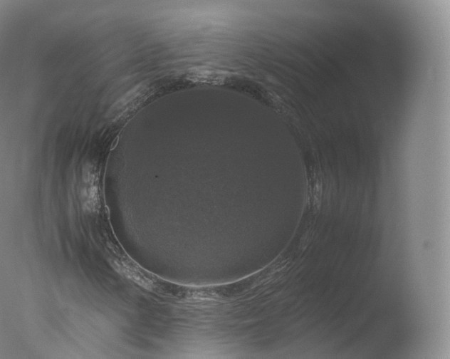 X0000077291154200610271517