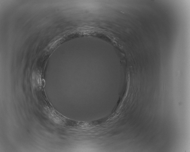 X0000077291155200610271517