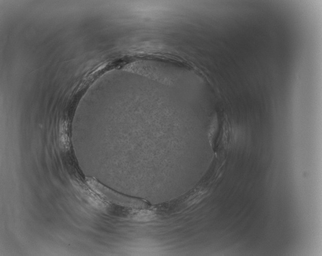 X0000077291156200610271517