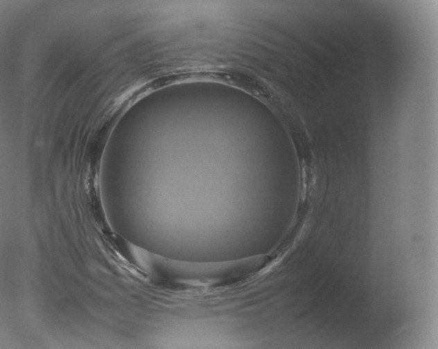 X0000077291161200610271517