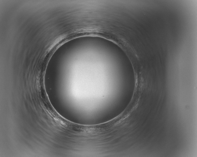 X0000077291162200610271517