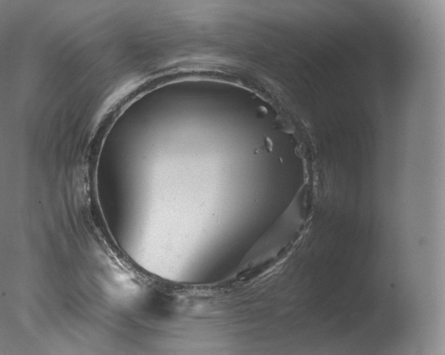 X0000077291164200610271517
