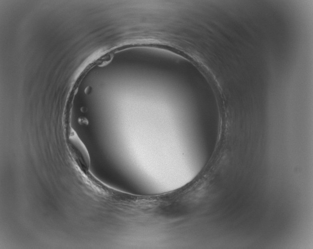 X0000077291181200610271516