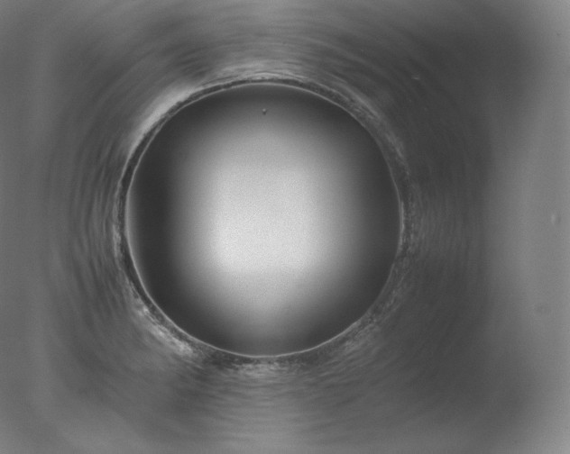 X0000077291182200610271516