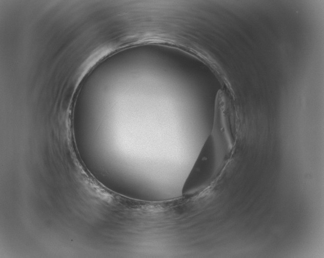 X0000077291190200610271516