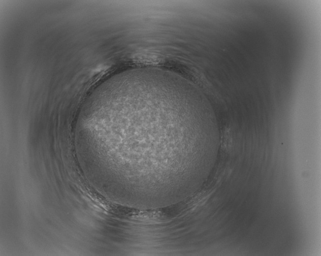 X0000077291201200610271515