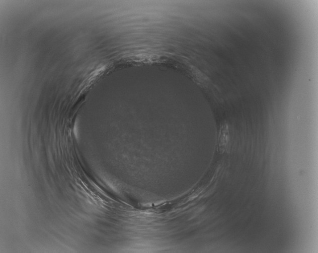 X0000077291202200610271515