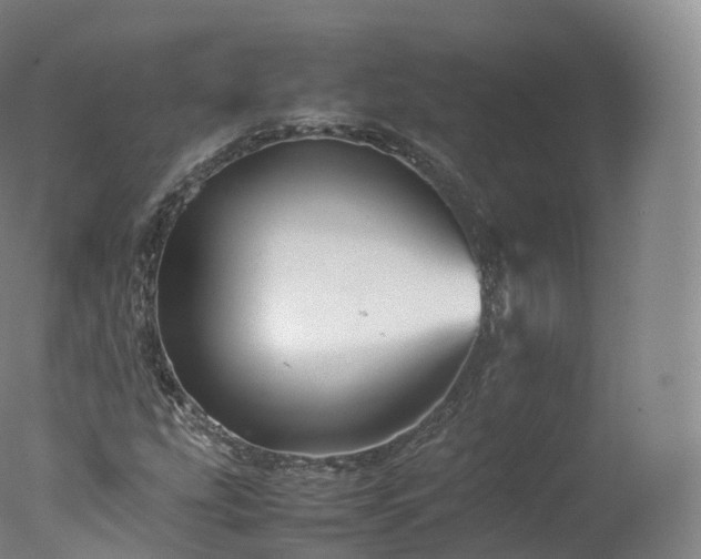 X0000077291207200610271515