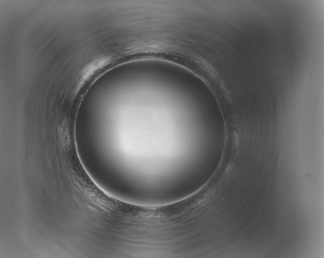 X0000077291218200610271516