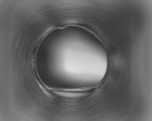 X0000077291225200610271516