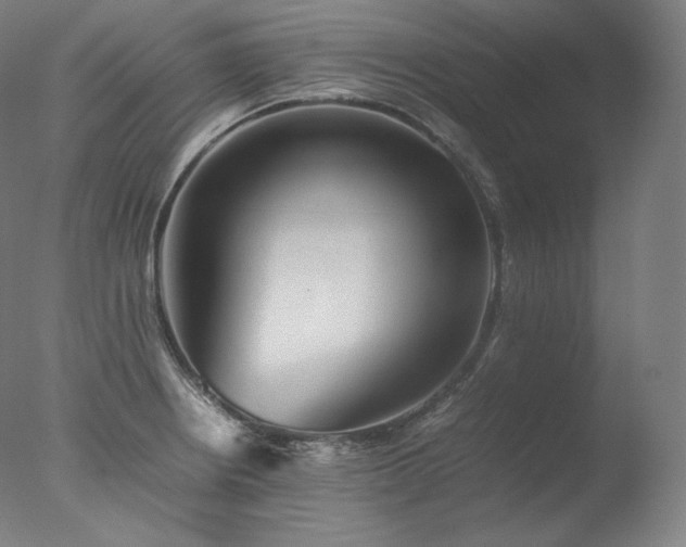 X0000077291234200610271516