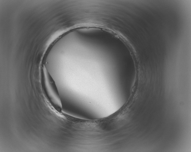 X0000077291238200610271516