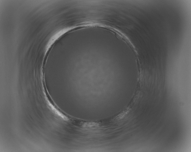 X0000077291239200610271516