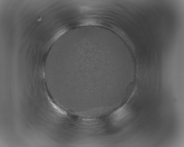 X0000077291241200610271516