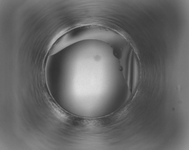 X0000077291242200610271516