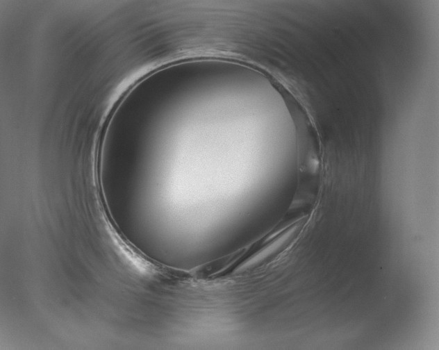 X0000077291246200610271516