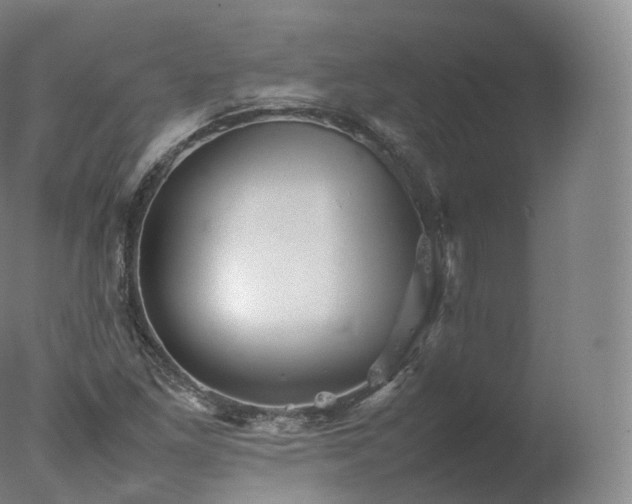 X0000077291261200610271515