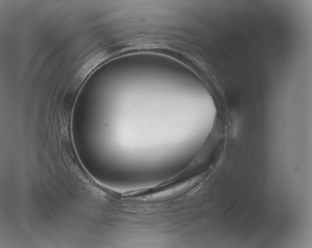 X0000077291273200610271515