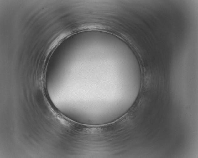 X0000077291282200610271515