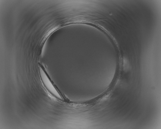 X0000077291289200610271515