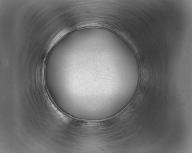 X0000077291290200610271515