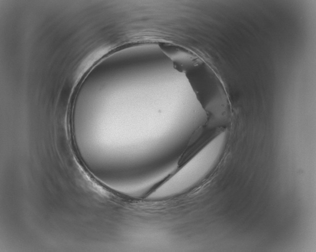 X0000077291293200610271515