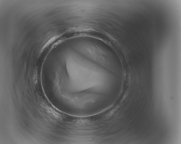 X0000077291306200610271514