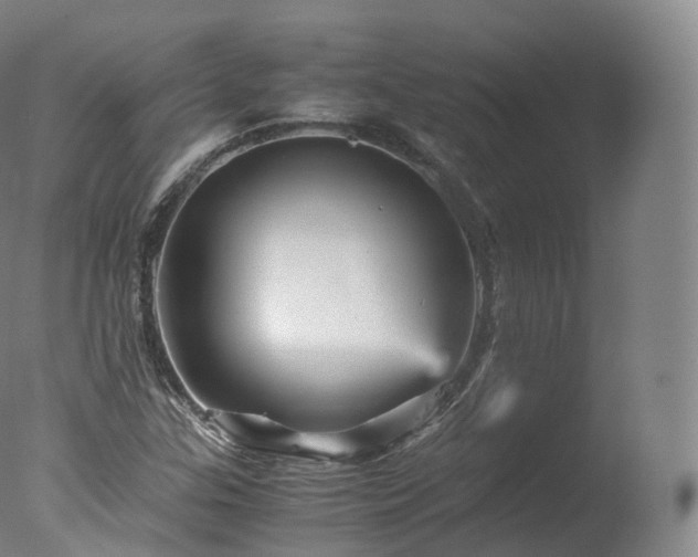 X0000077291307200610271514
