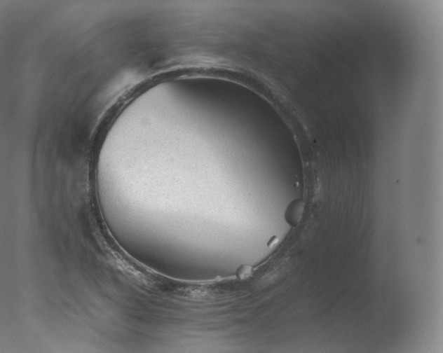 X0000077291318200610271514