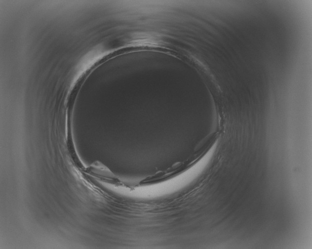 X0000077291323200610271514