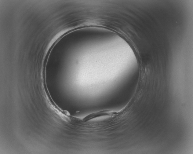 X0000077291339200610271514