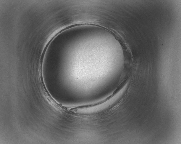 X0000077291340200610271514
