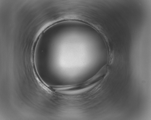 X0000077291342200610271514