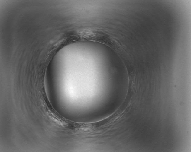 X0000077291345200610271514